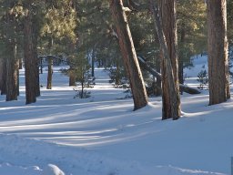 Arizona_2007-2008-027